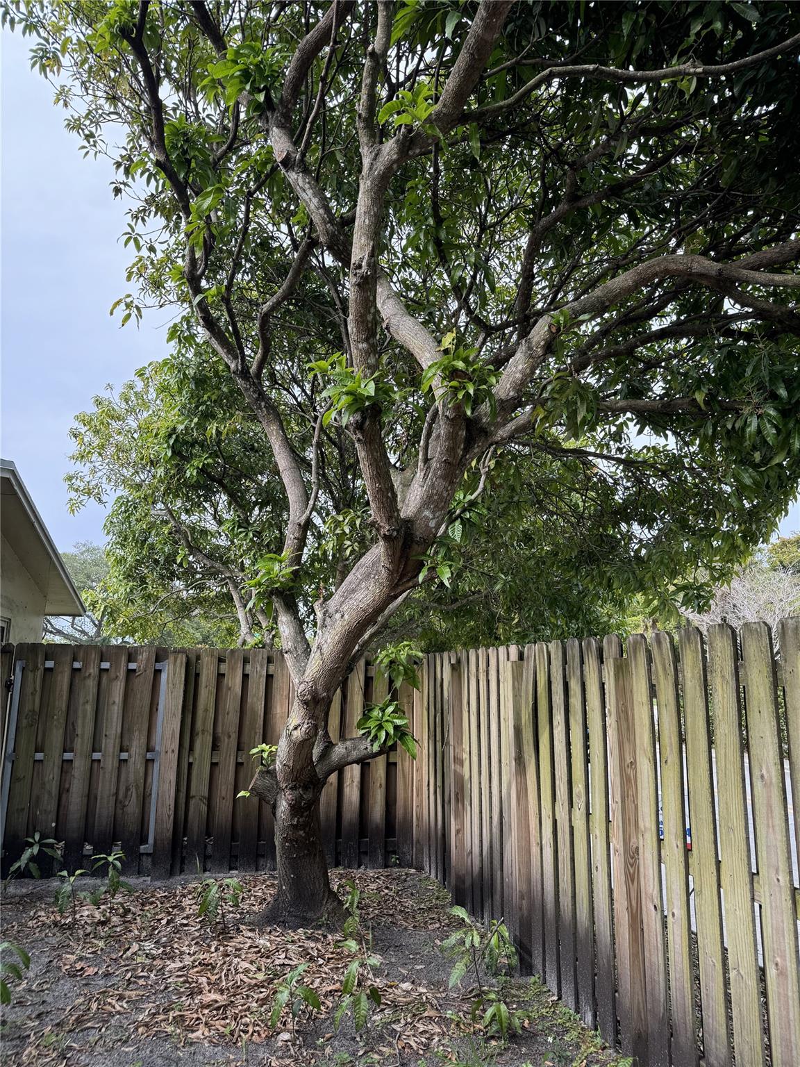 Plantation Sunrise Height - Residential