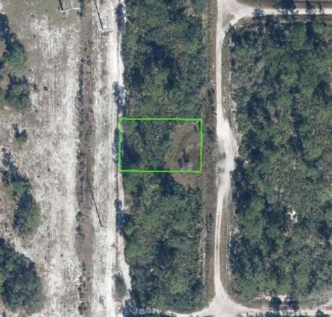 221 Pheasant Boulevard Sebring FL 33872
