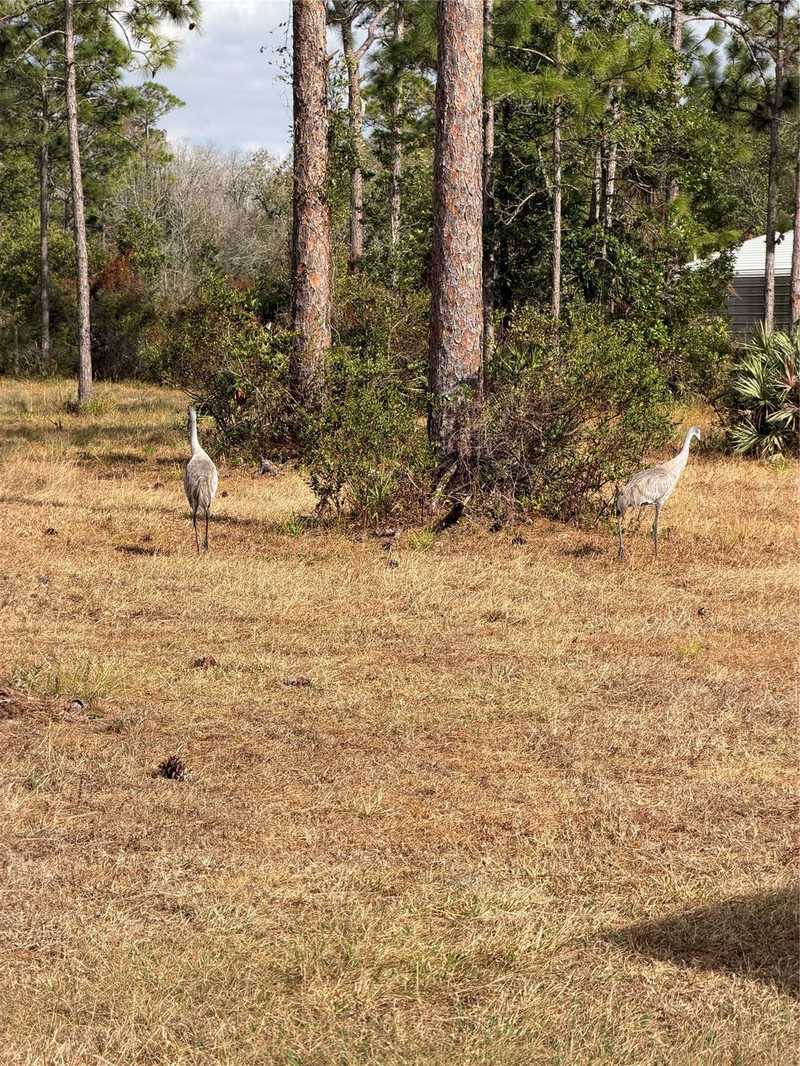 Pinelands 39 - Residential