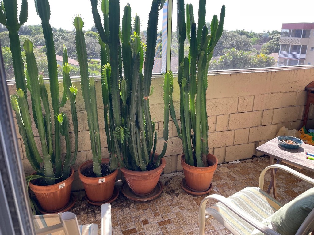 Polynesian Gardens - Residential