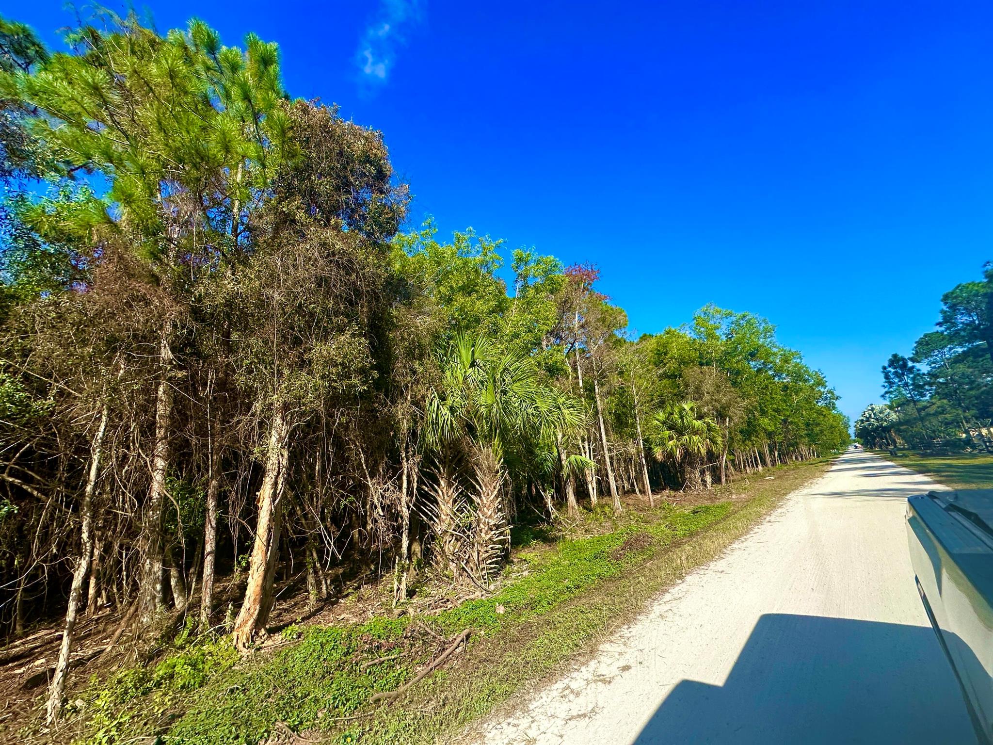 5 ACRES. !! *****PRICED TO SELL FAST ****. LOCATION !! LOCATION !! LOCATION !! BUILD YOUR DREAM HOME ON THIS NICE HIGH AND DRY LOT !!! MINUTES WALKING to SCHOOL. !!! ALL NICE HOMES ON STREET ***. MINUTES TO SHOPPING, BANKS, LIBRARY, GAS AND BEACHES *** NO HOA !!! BRING THE RV, BOAT, TRAILER AND HORSES *** new Westlake ER. 5 ACRE LOT NEXT DOOR ALSO FOR SALE