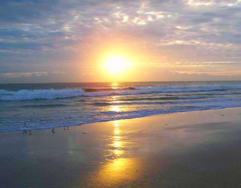 TROPICAL BEACH - Land