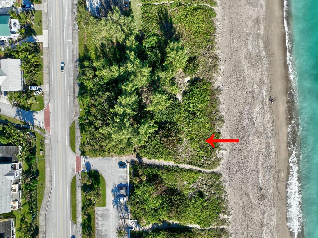 TROPICAL BEACH - Land