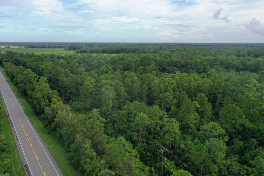 Beautiful Wooded lot right on 441 North. This property has loads of potential ! Currently zoned Agriculture  with a Future land use of rural activity center rural density. This property is virtually untouched and is ready for your new homestead or great for a future investment. Stunning , old growth trees abound. Call today!