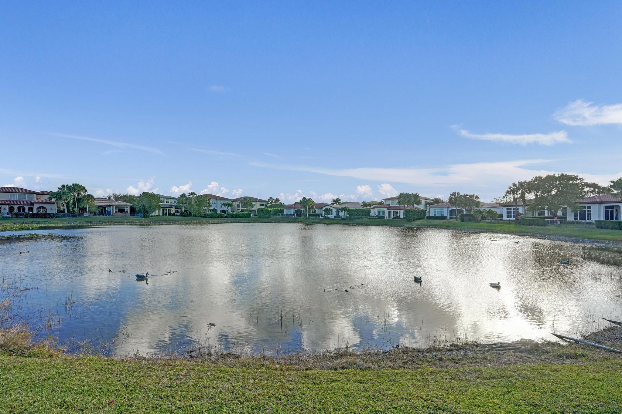 HERON BAY NORTH - BANYAN - Residential