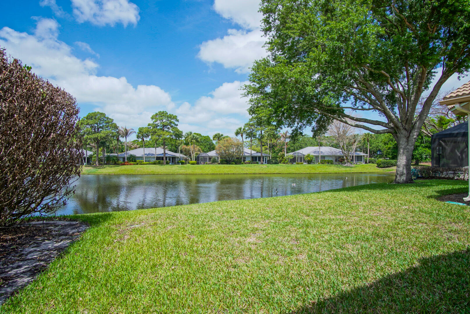 MYSTIC PINES AT THE RESERVE - Residential