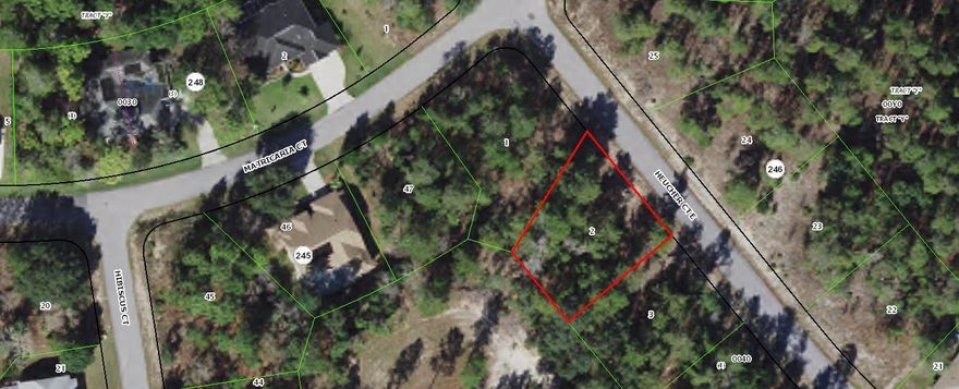 Oak Village of Sugarmill Woods is a Deed Restricted Community within the Sugarmill Woods (SMW) community. Build your dream home on this .28 acre home site. Suncoast Parkway extension in progress. Conveniently located within an hour of Tampa and Tampa airport.