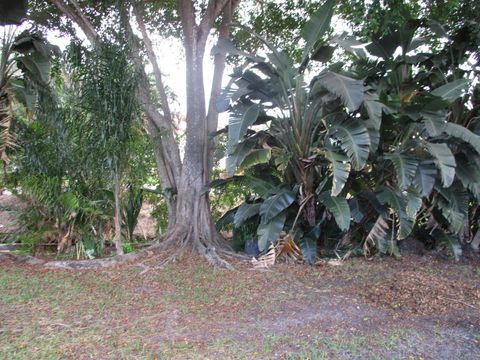 A home in West Palm Beach