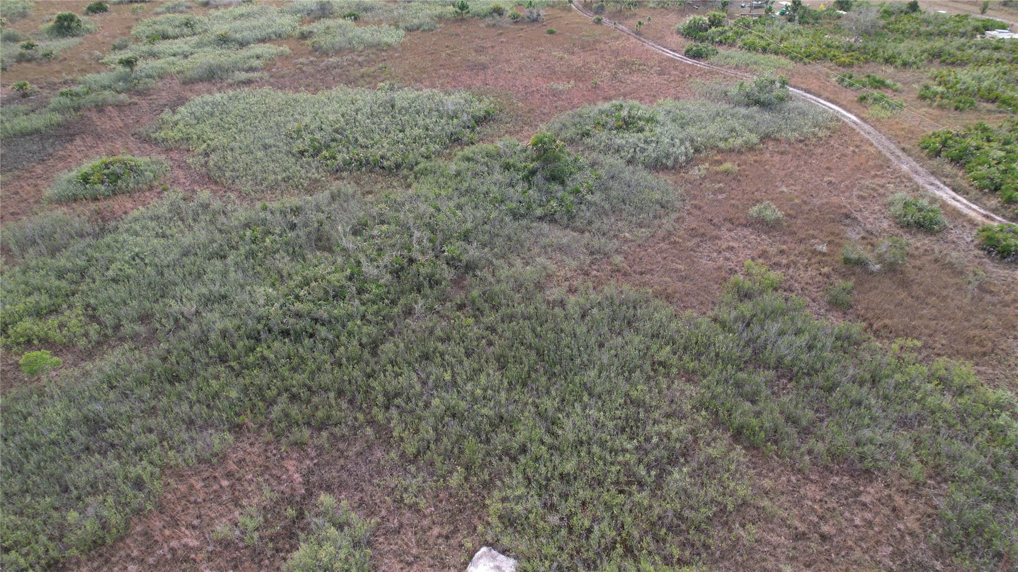 Own this 1.25-acre vacant parcel and bring or build your dream home surrounded by nature. Just a few miles west from orange Ave shopping, dining, 1-95, and access to Florida's Turnpike. This community is located near Kissimmee State Preserve Park and Lake Okeechobee. Gaze up at the star-filled night sky every night.
Okeechobee offers superior fishing and is the largest freshwater lake in the state. Land bank this property to either build a home or hold for later. No homeowner's association fee.