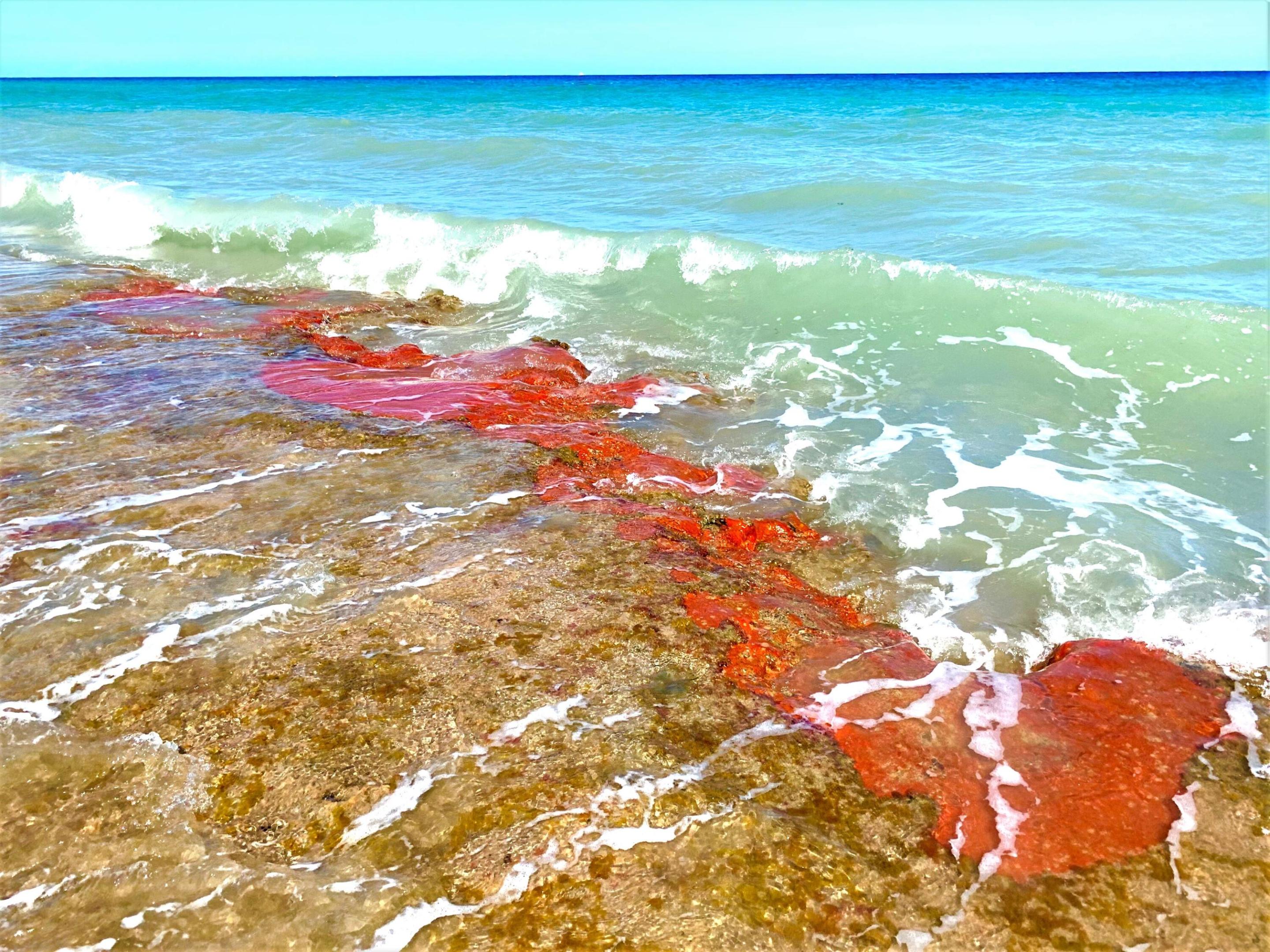 Highland Beach - Residential