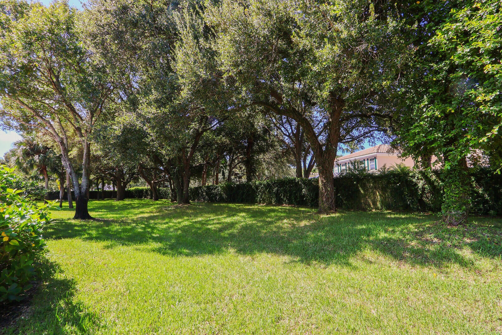Properties 8701 CHAPMAN OAK Court