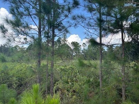 0 County RD 54 E Kathleen FL 33849