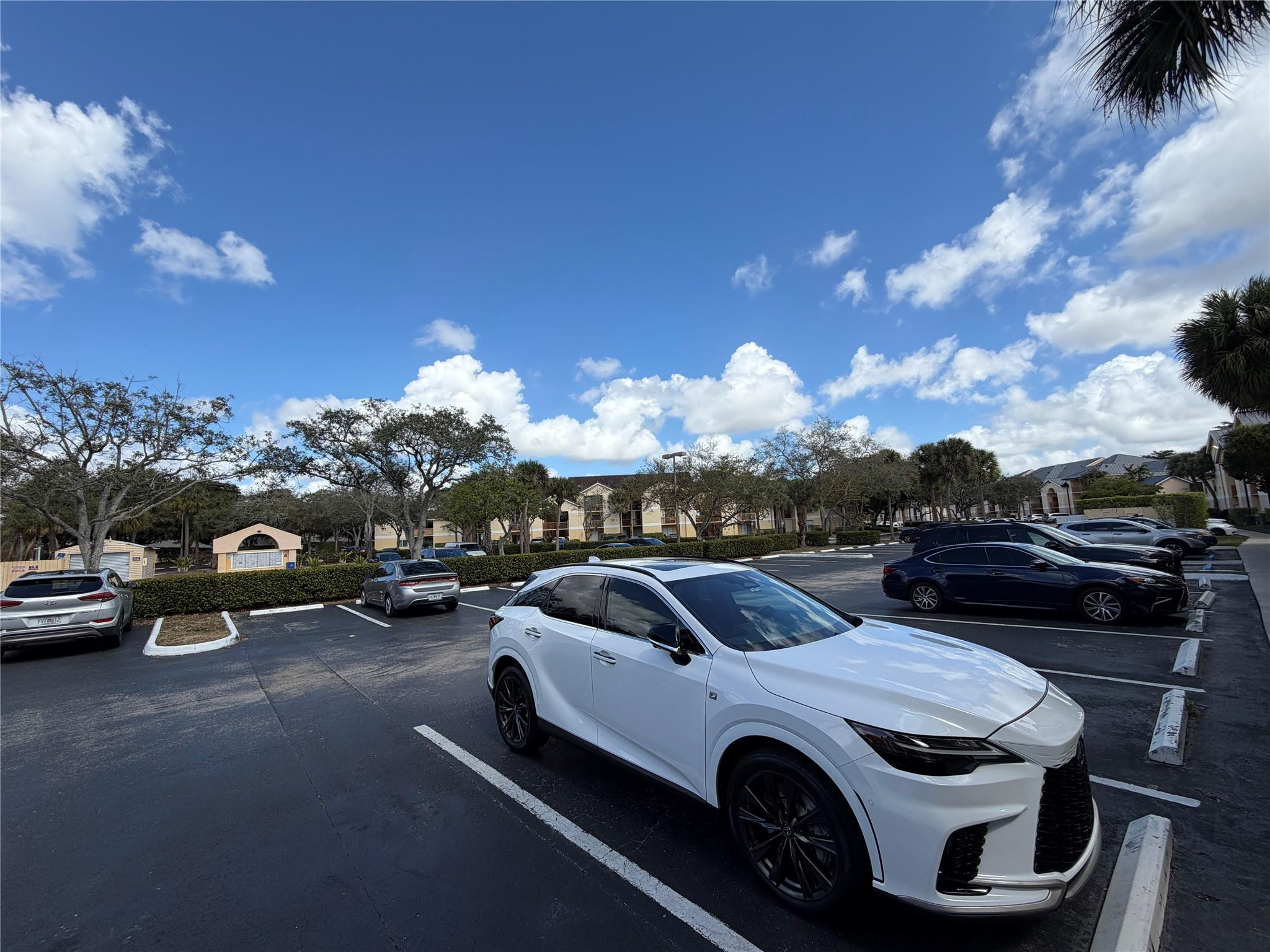 SOUTH PALM PLACE - Residential