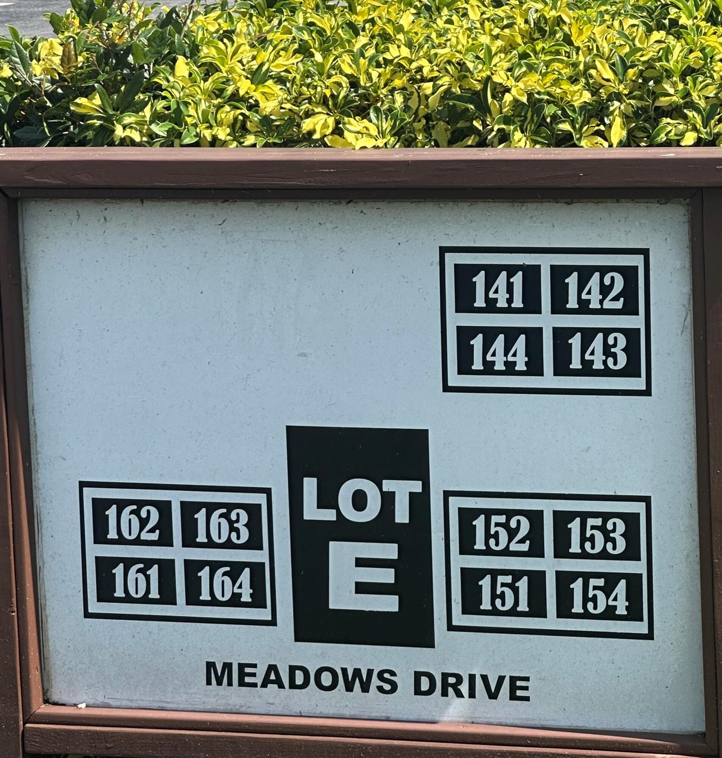 151 Meadows Drive