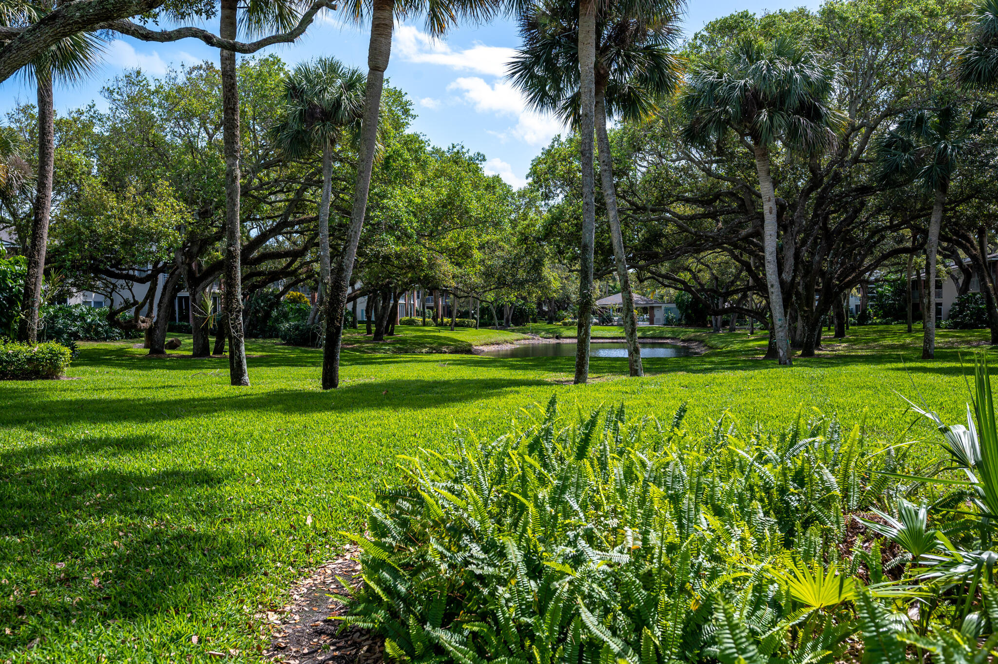 PARK SHORES PHASE IV CONDO - Residential Lease