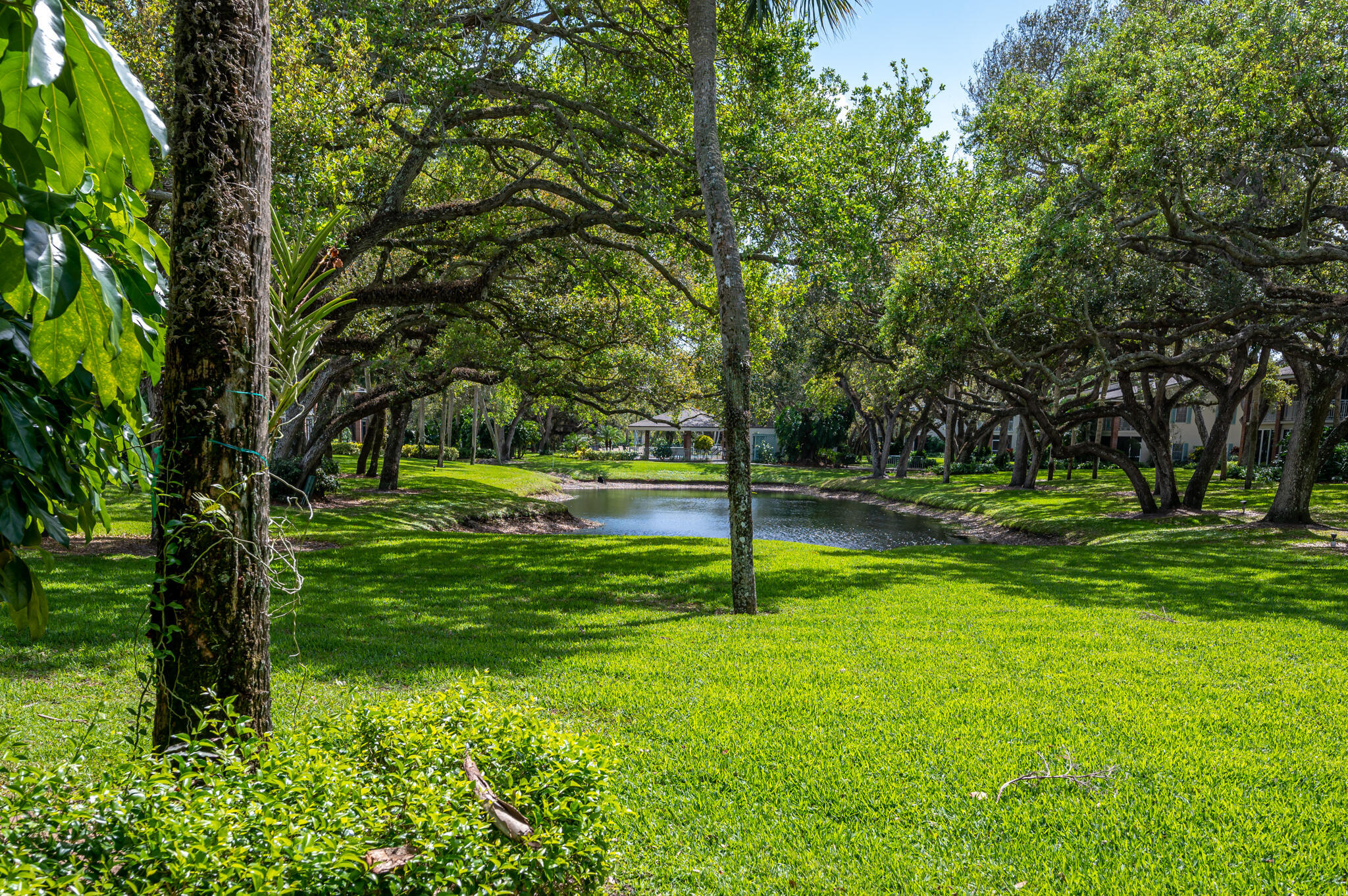 PARK SHORES PHASE IV CONDO - Residential Lease