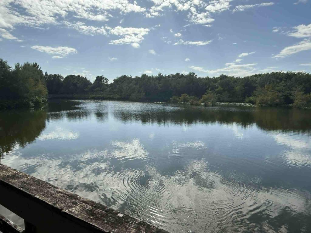 EAST LAKE VILLAGE NO 2 - Residential