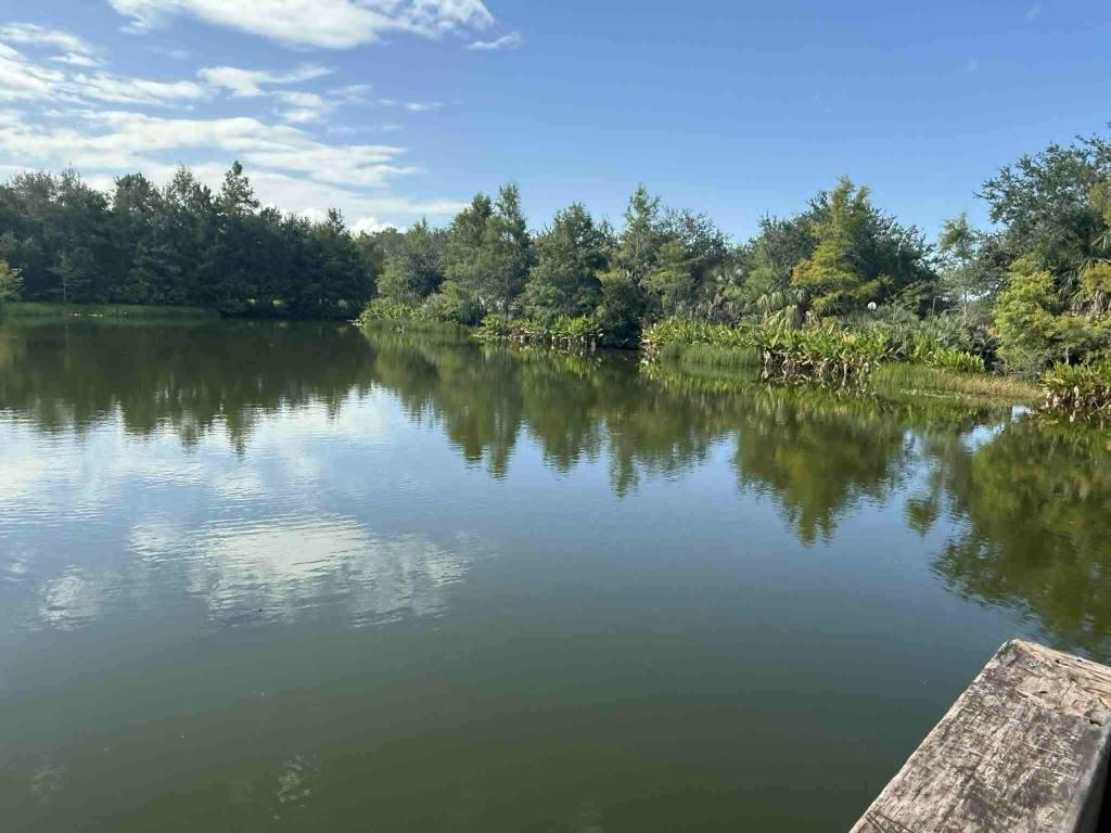 EAST LAKE VILLAGE NO 2 - Residential