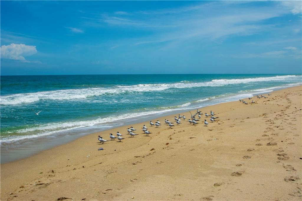 Ocean Oaks West - Residential