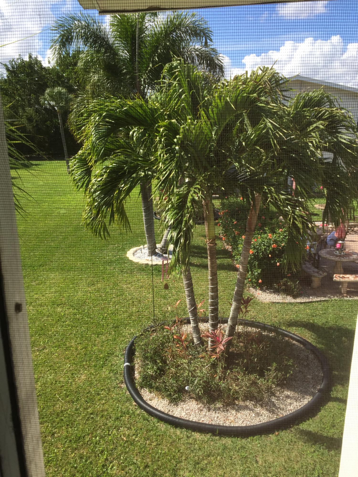 Century Village - Residential