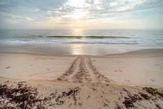 HARBOR ISLE PHASE 1 - Residential Lease