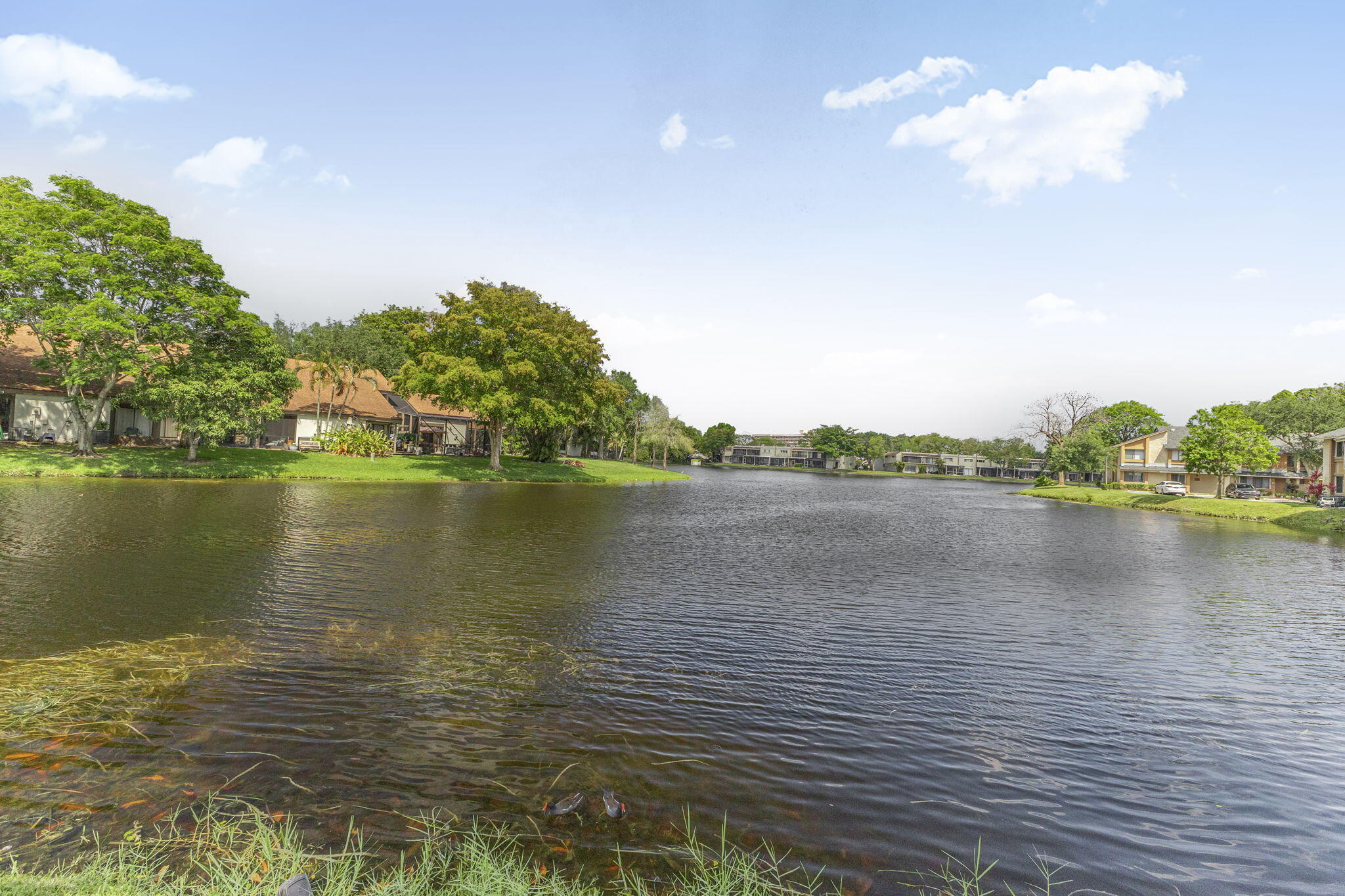 WIMBLEDON AT JACARANDA CONDO - Residential