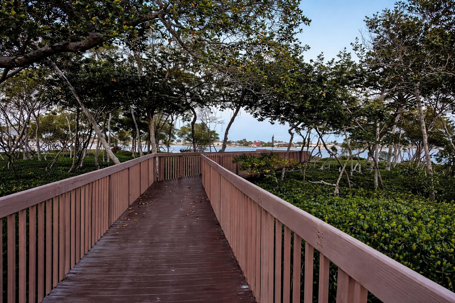 LAKESHORE COLONY I CONDO - Residential