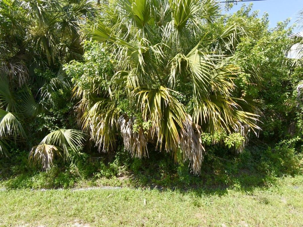 Photo of 542 SW College Park Road, Port Saint Lucie, FL 34953 (MLS # B26012863)