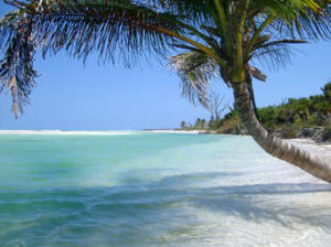 GOLF VILLAS II CONDOMINIUM - Residential