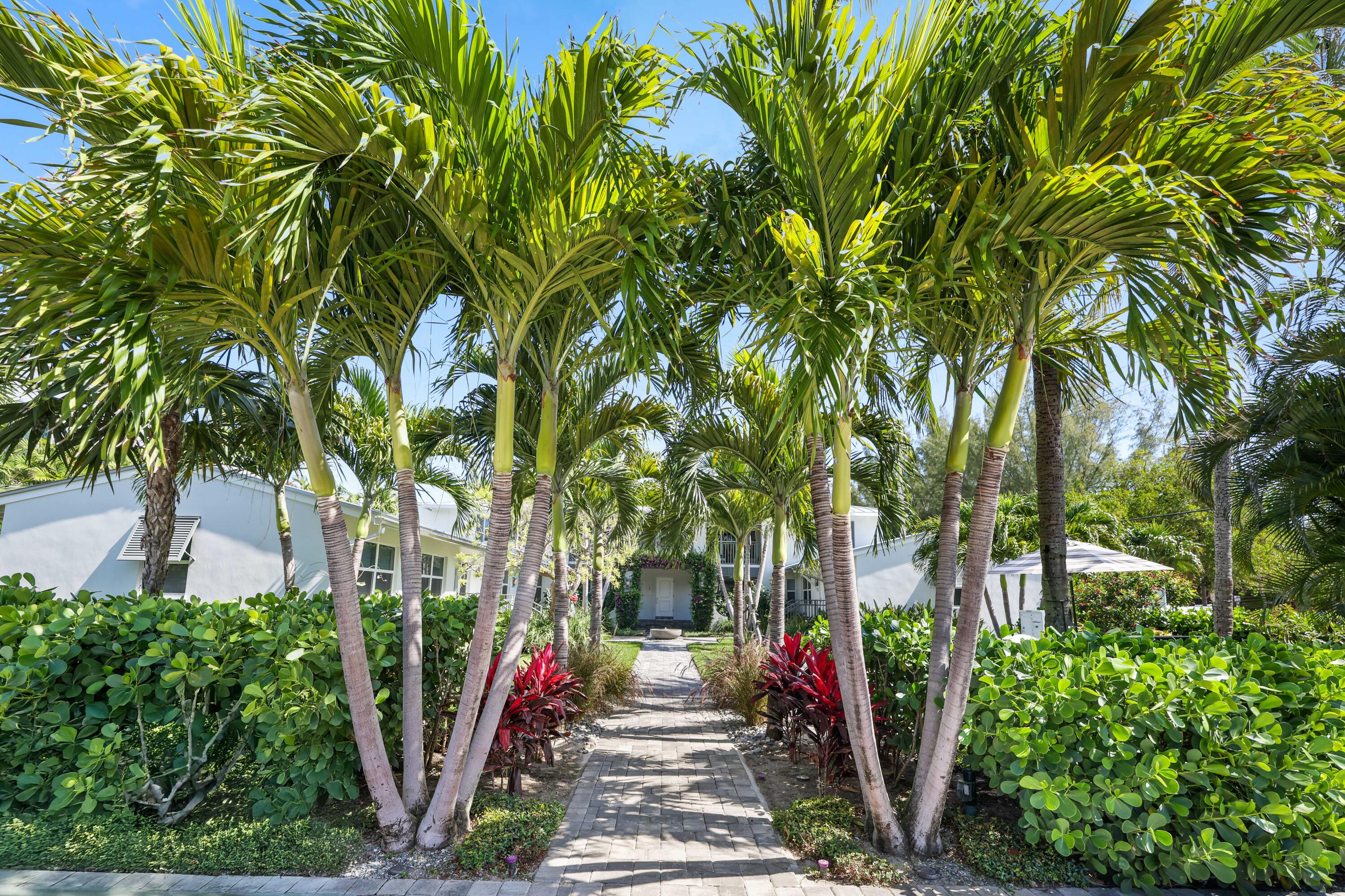 1025 Casuarina Road 3