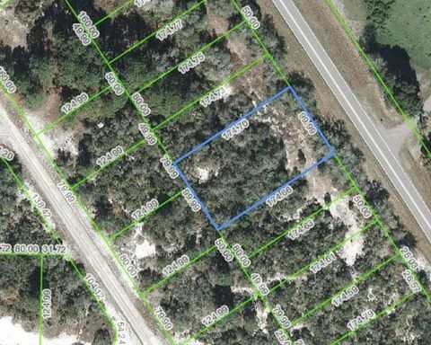 1051 Cr 29 Lake Placid FL 33852