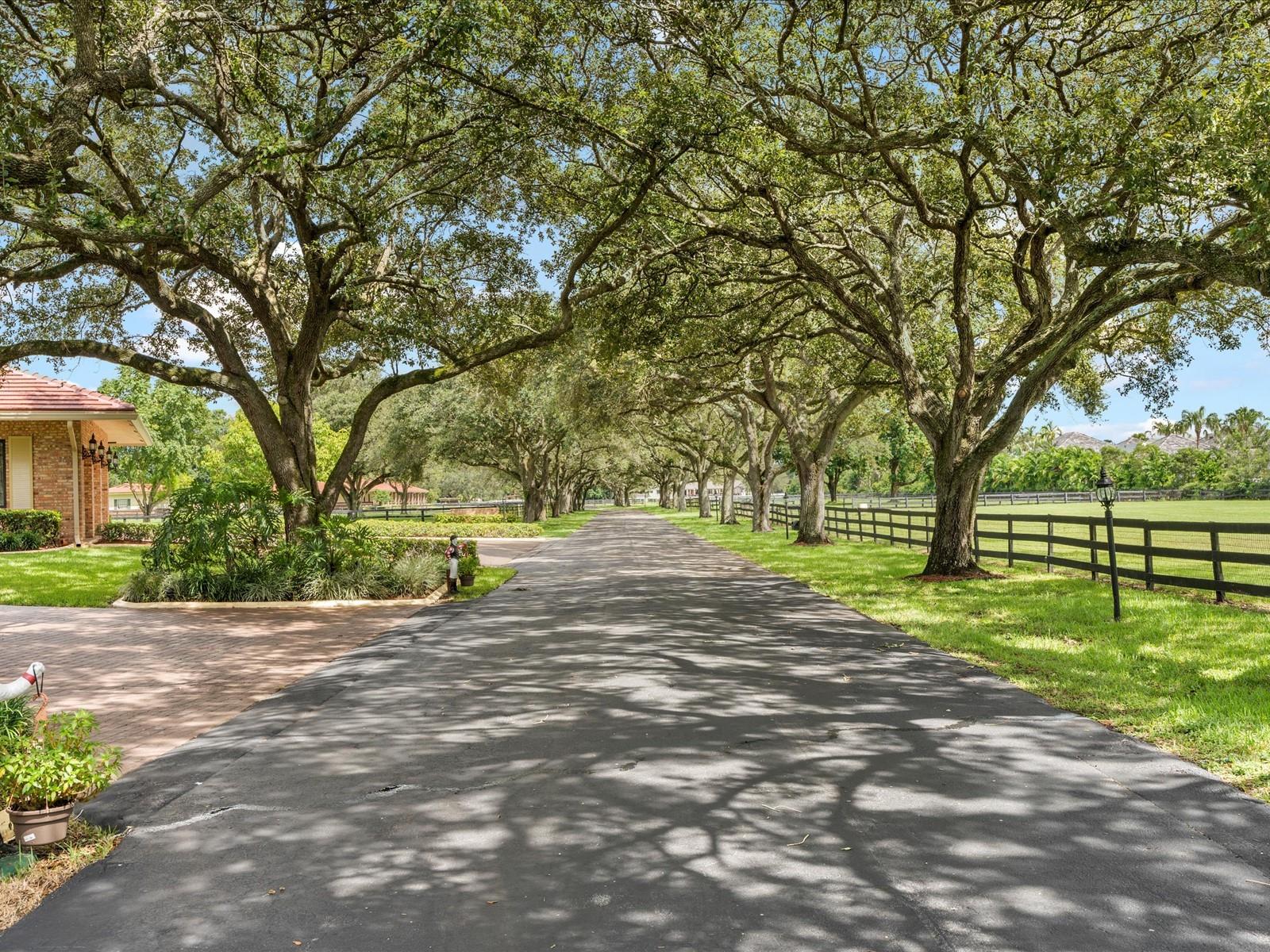 SUNSHINE RANCHES - Residential