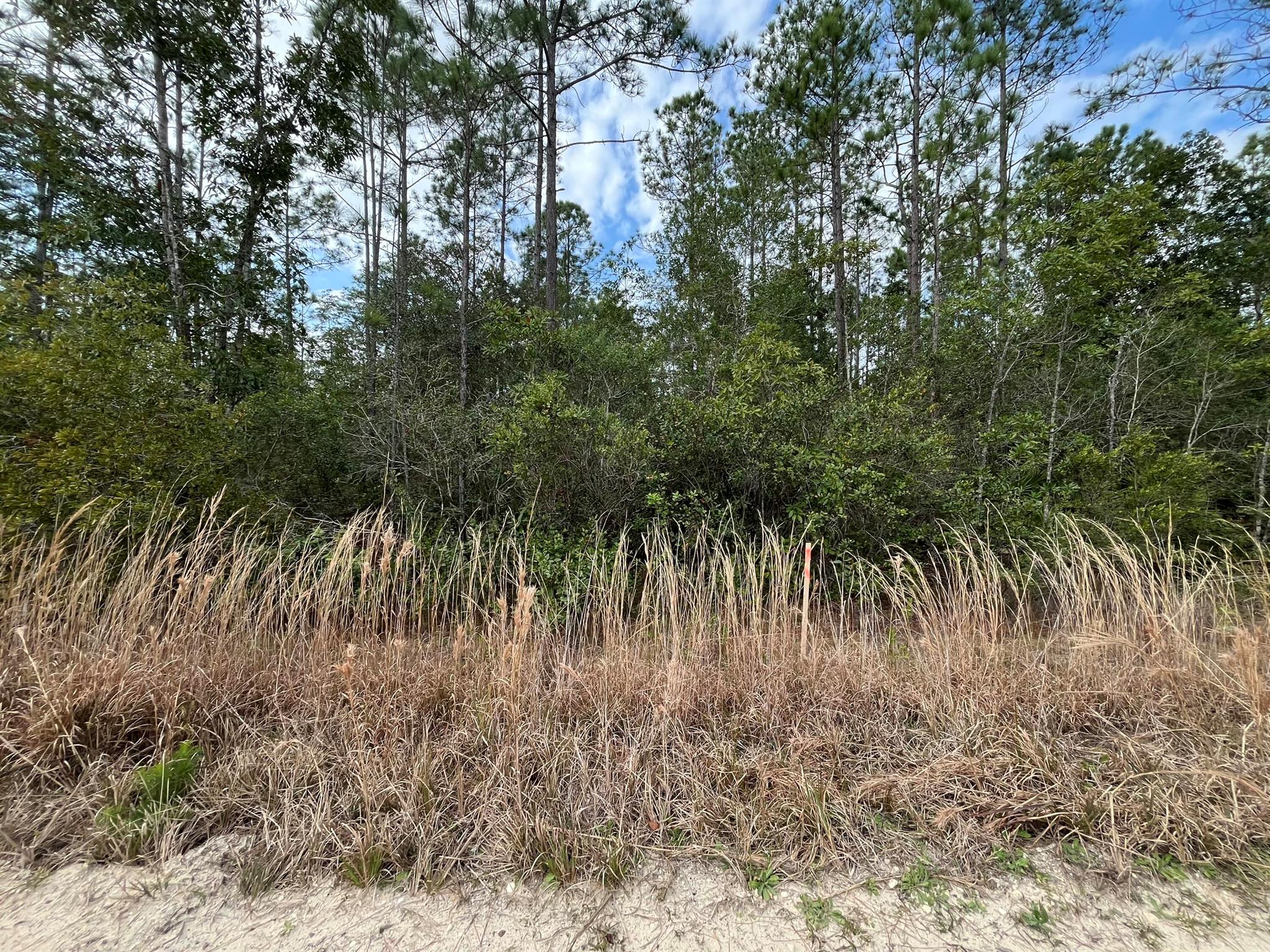 INTERLACHEN LAKES ESTATES - Land