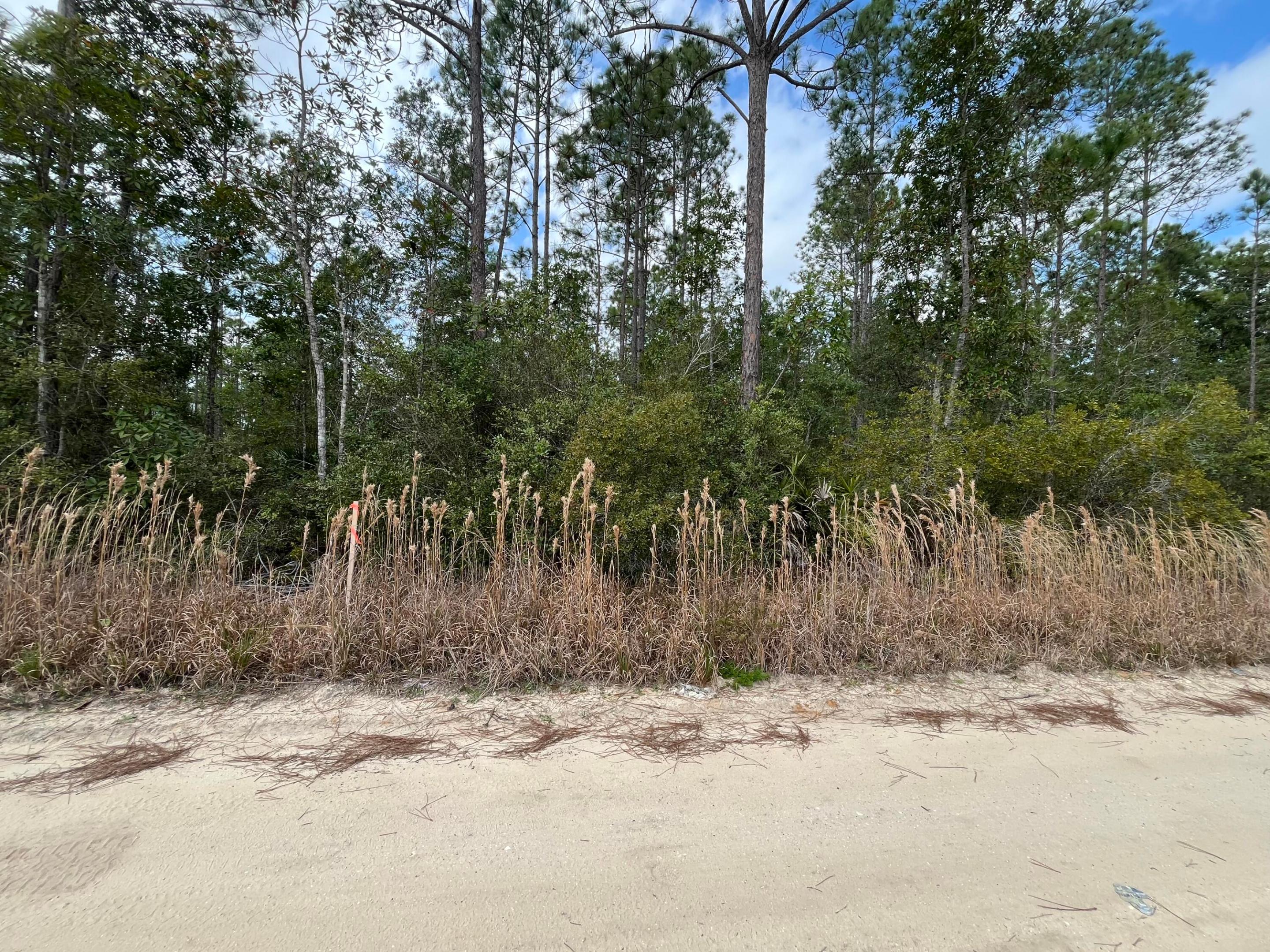 INTERLACHEN LAKES ESTATES - Land