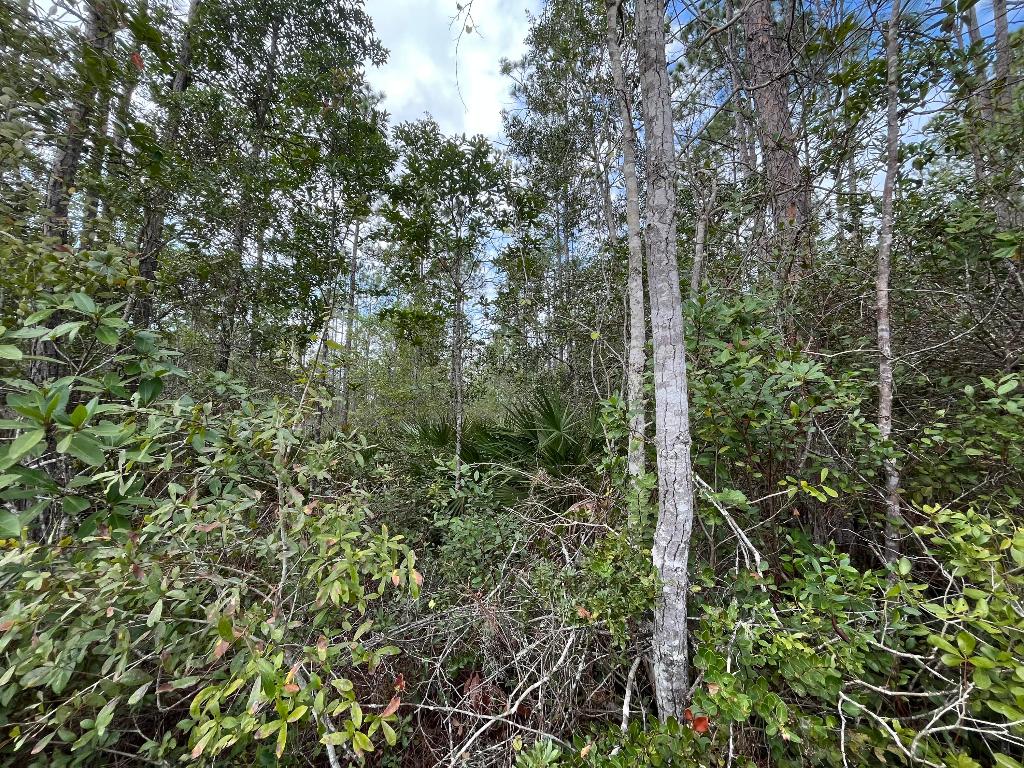 INTERLACHEN LAKES ESTATES - Land