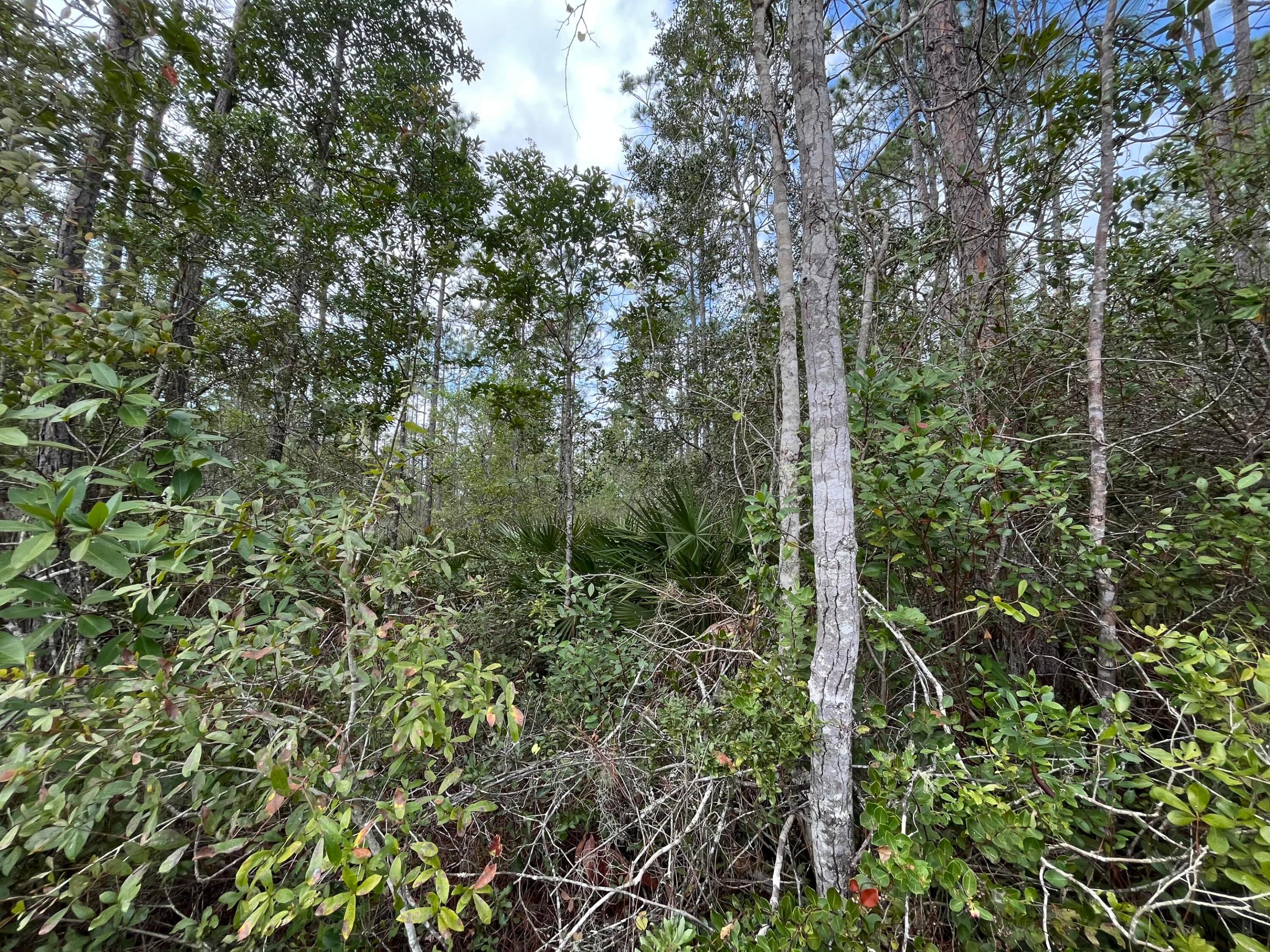 INTERLACHEN LAKES ESTATES - Land