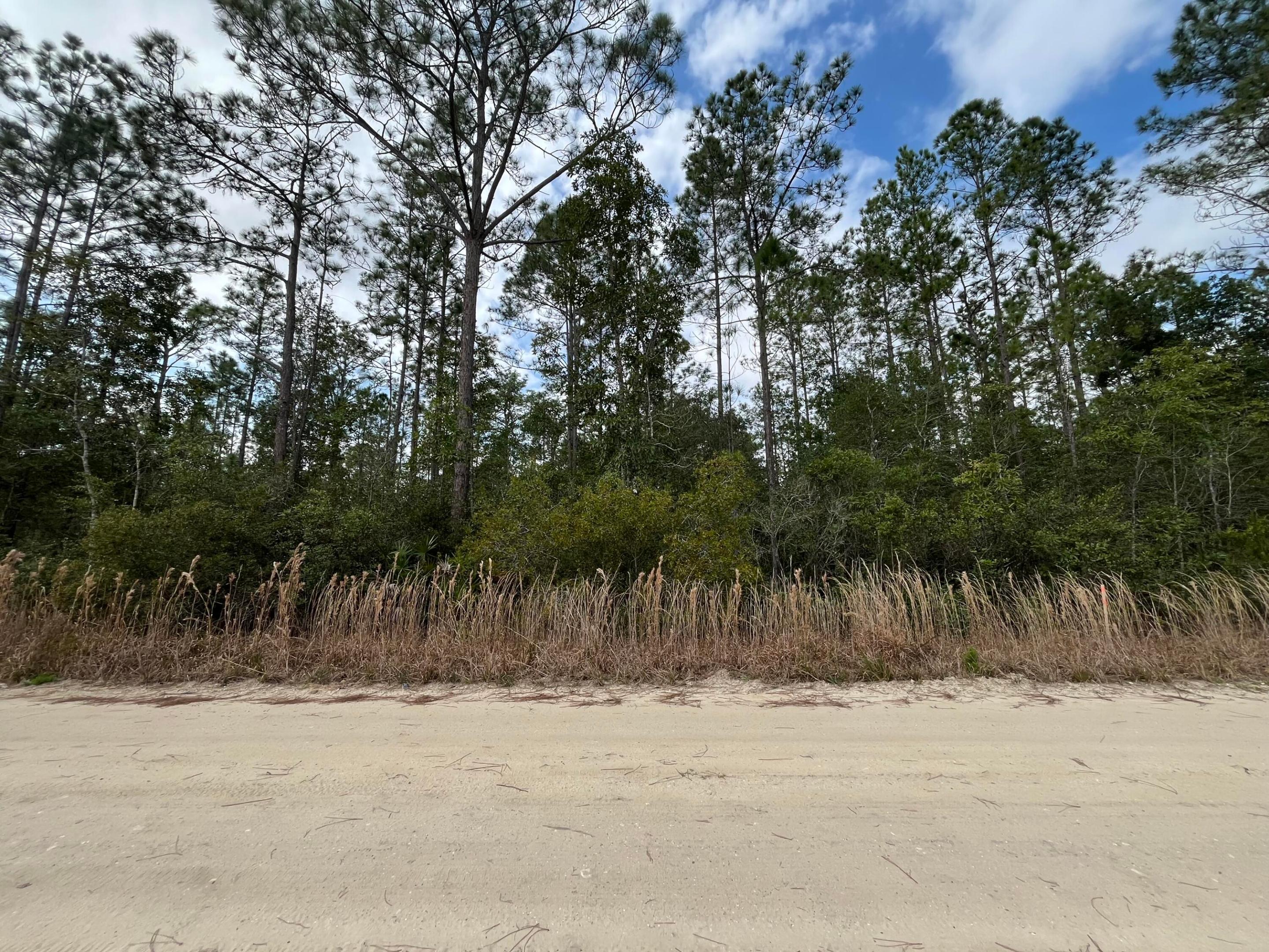 INTERLACHEN LAKES ESTATES - Land