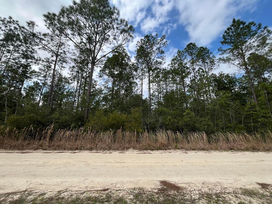 Owner Financing Available! Take advantage of this affordable 0.22-acre lot in the growing community of Interlachen, FL. With power lines already in place, it's ready for your future build. Zoning allows for site-built homes, manufactured homes, mobile homes, tiny homes, and barndominiums--giving you the freedom to create the living space you want. Located minutes from schools, parks, restaurants, and shops, with easy access to Gainesville, Palatka, and Florida's beaches. Whether you're building, investing, or planning a getaway, this lot offers flexibility, convenience, and long-term value.