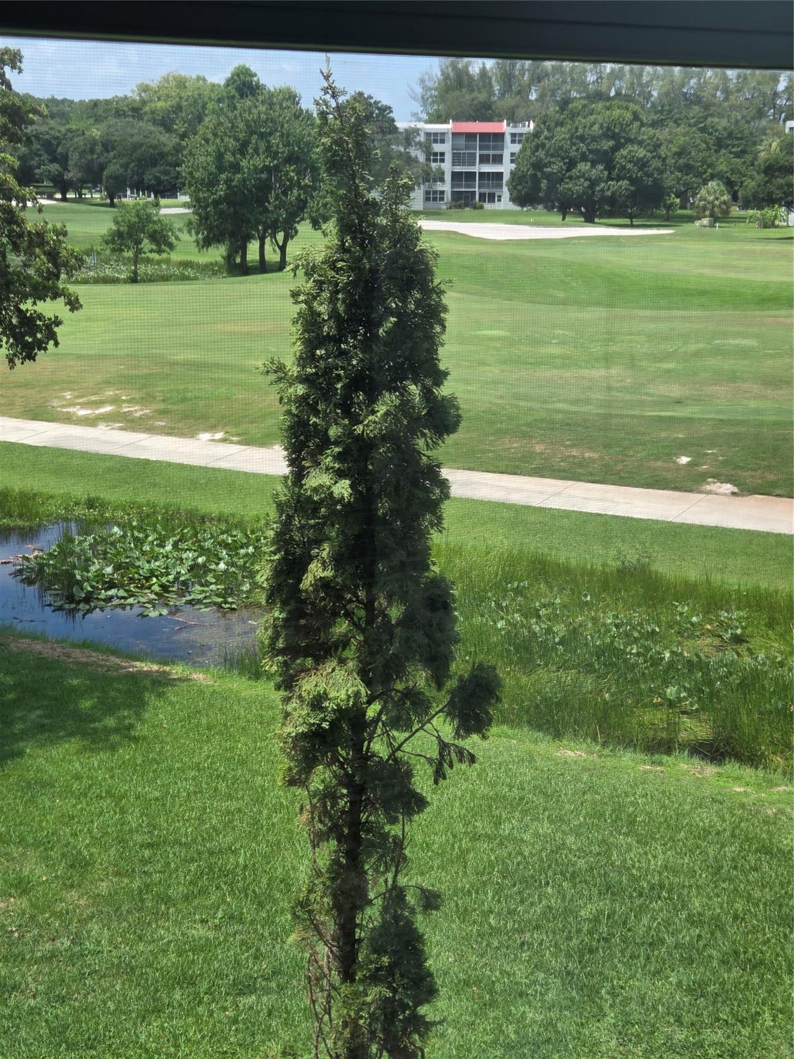 Orchid Tree - Residential