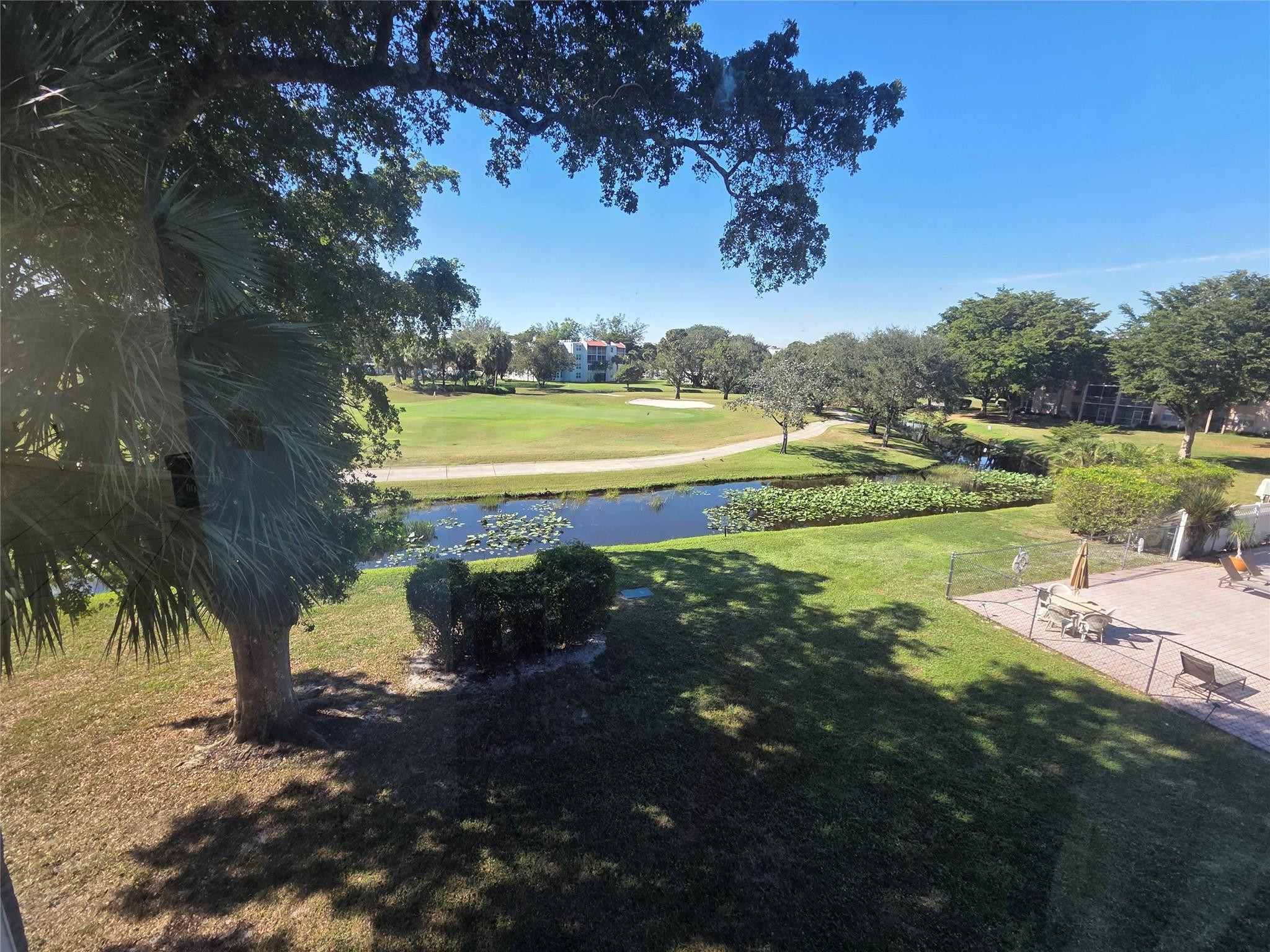 Orchid Tree - Residential