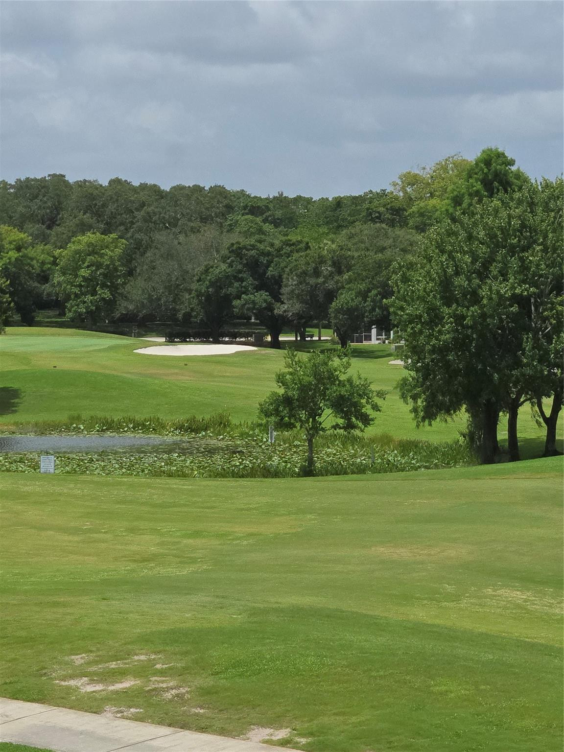 Orchid Tree - Residential