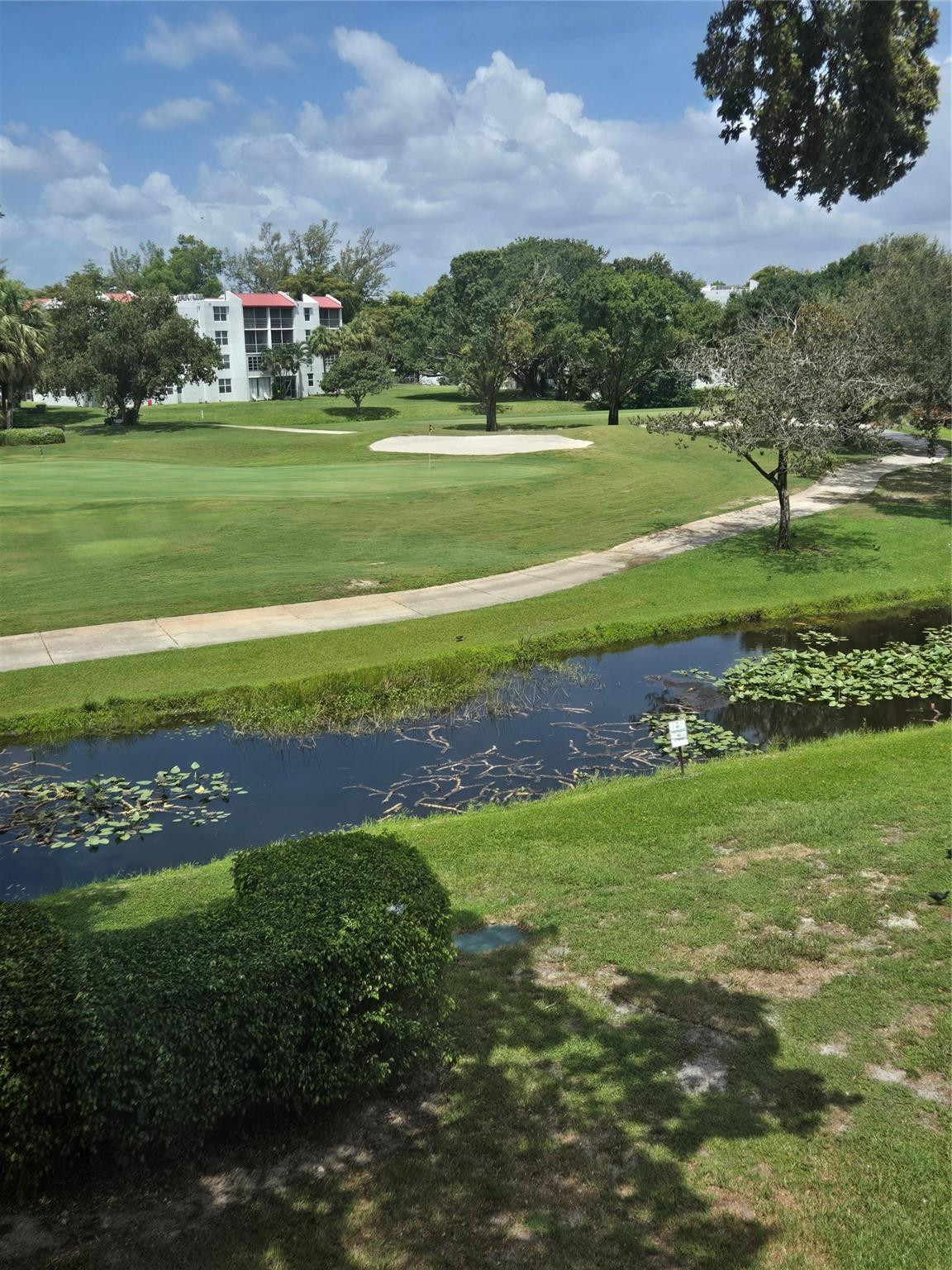 Orchid Tree - Residential