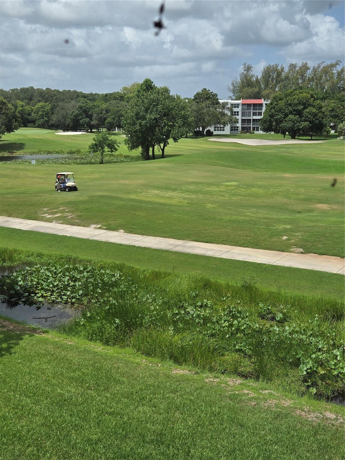 Orchid Tree - Residential