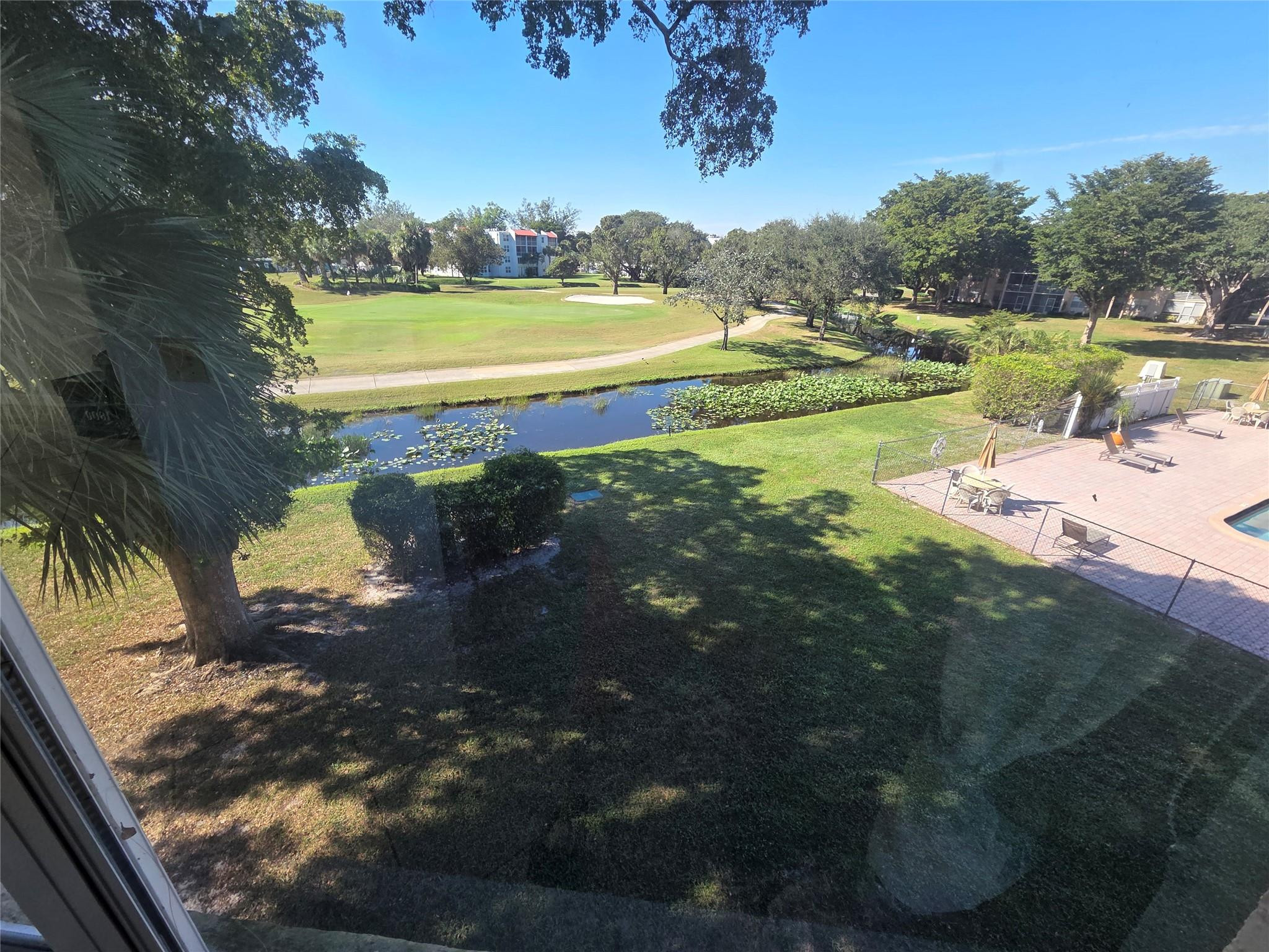 Orchid Tree - Residential