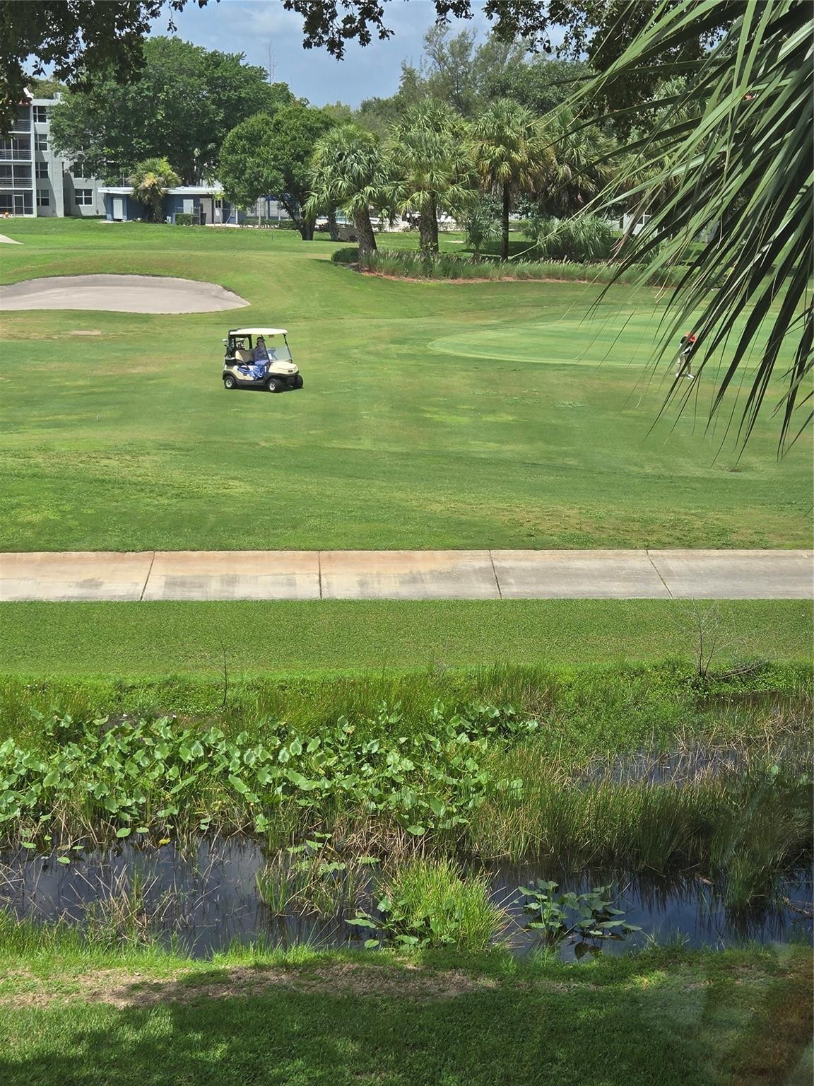 Orchid Tree - Residential
