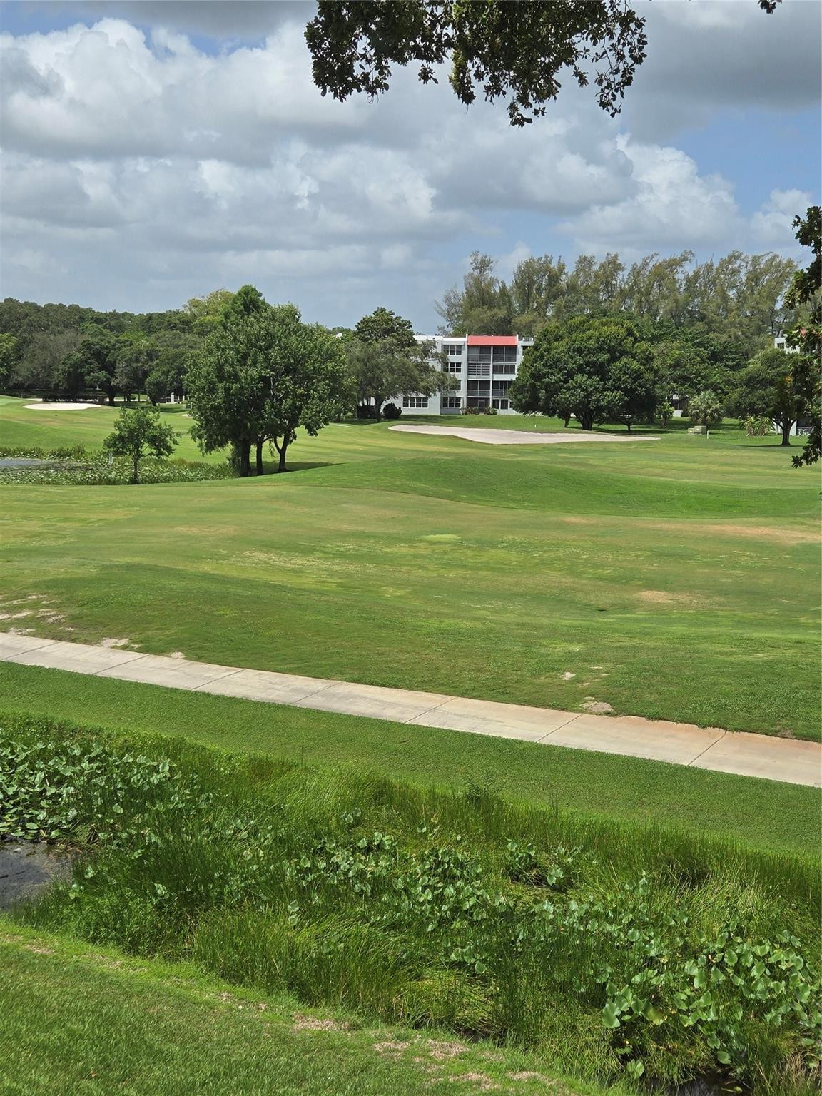 Orchid Tree - Residential