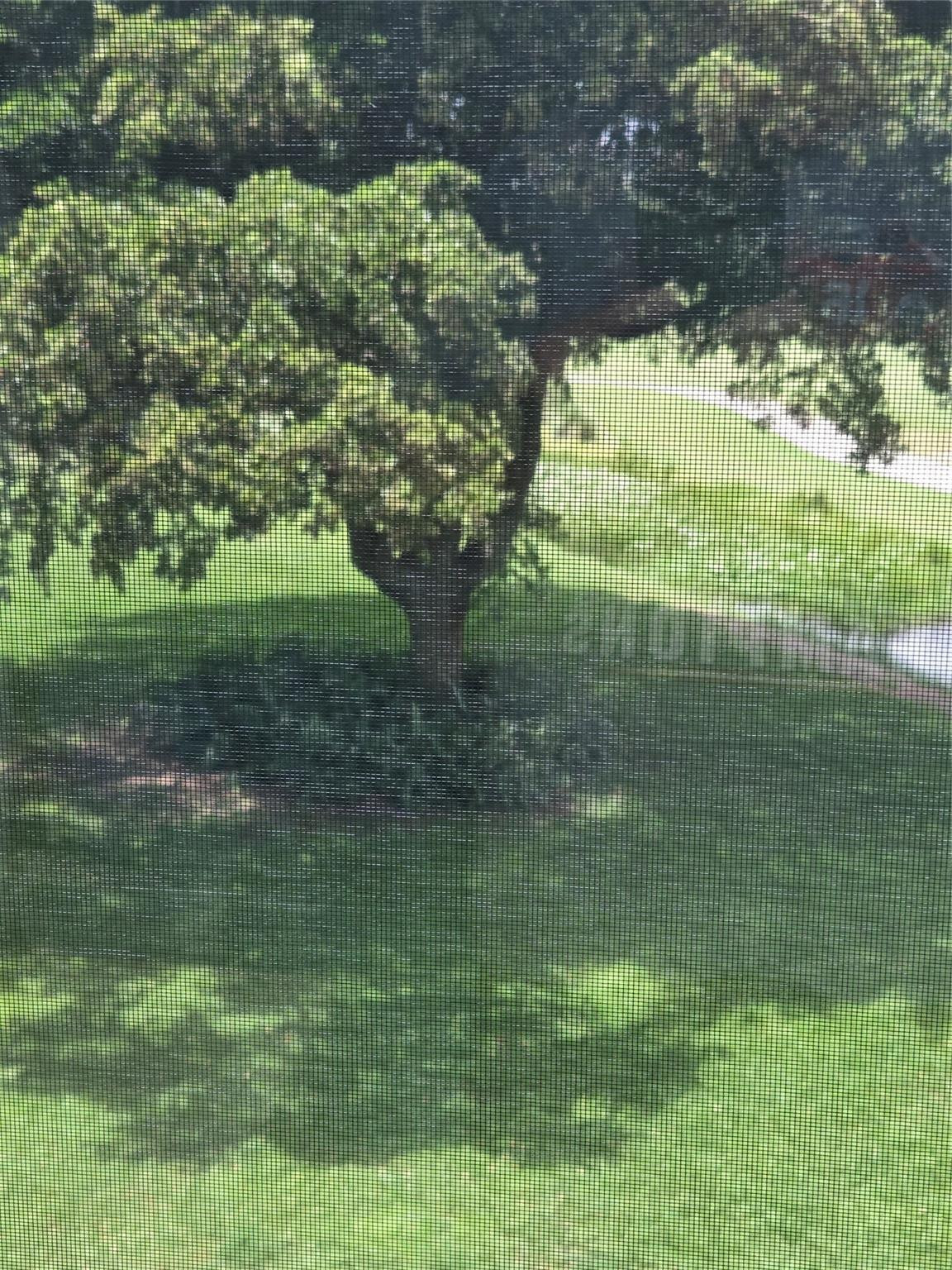 Orchid Tree - Residential