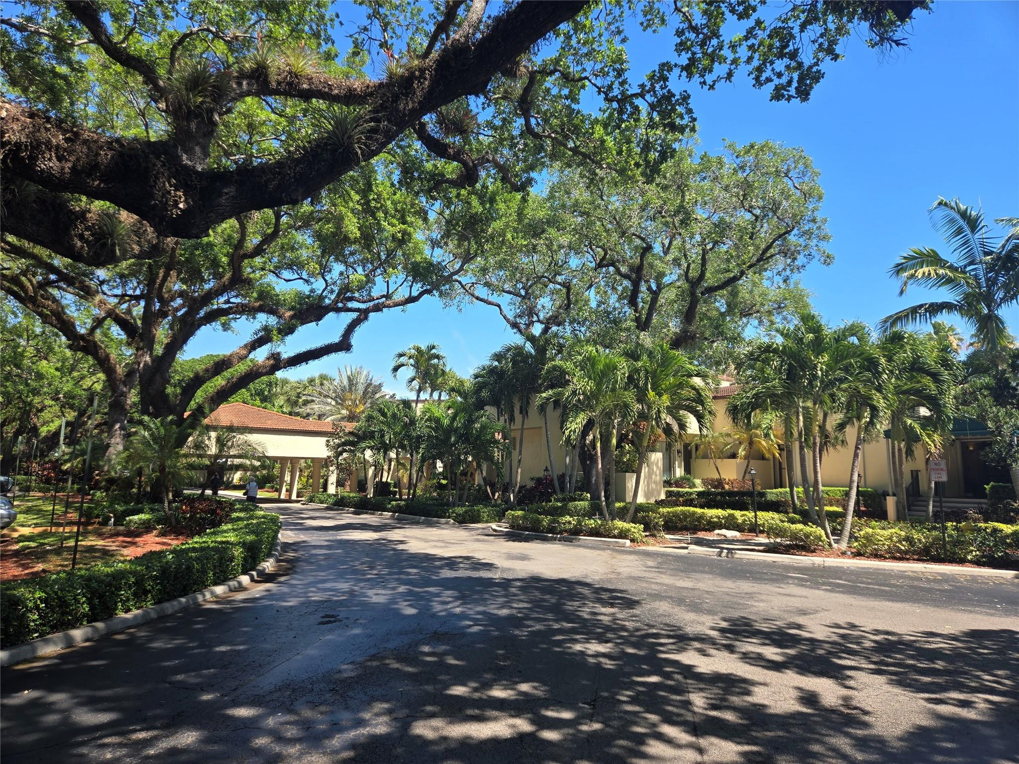 Orchid Tree - Residential