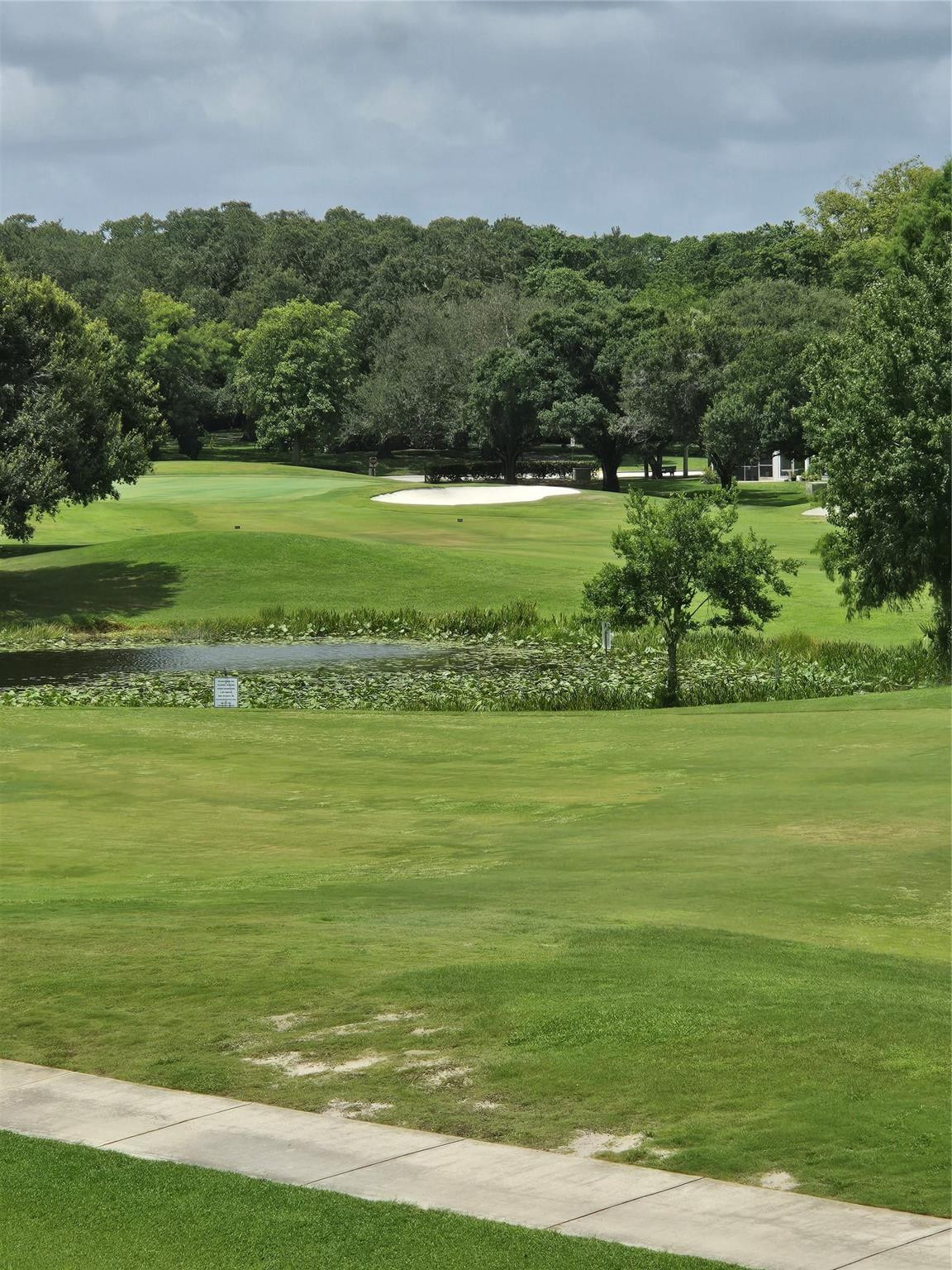 Orchid Tree - Residential