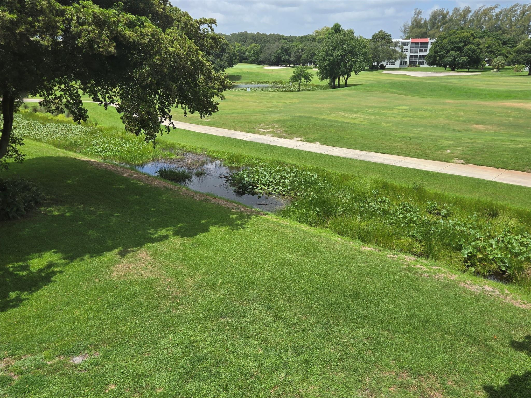 Orchid Tree - Residential